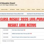 PSEB 10th Class Result 2025 Live